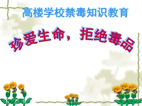 高楼学校禁毒教育课件