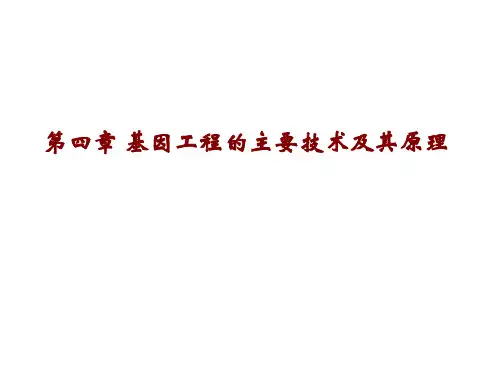 第四章基因工程的主要技术及其原理