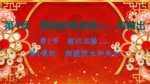 高中生物 第4章 细胞的物质输入和输出 第1节 第1课时 细胞吸水和失水课件高中必修1生物课件