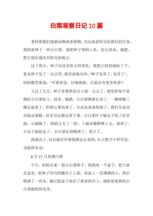 白菜观察日记10篇