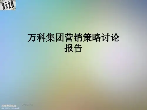万科集团营销策略讨论报告