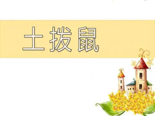 《土拨鼠》PPT(上课用)