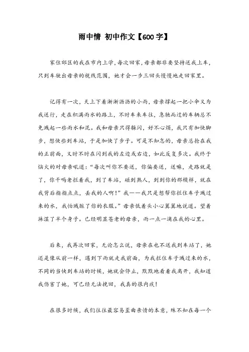雨中情 初中作文【600字】