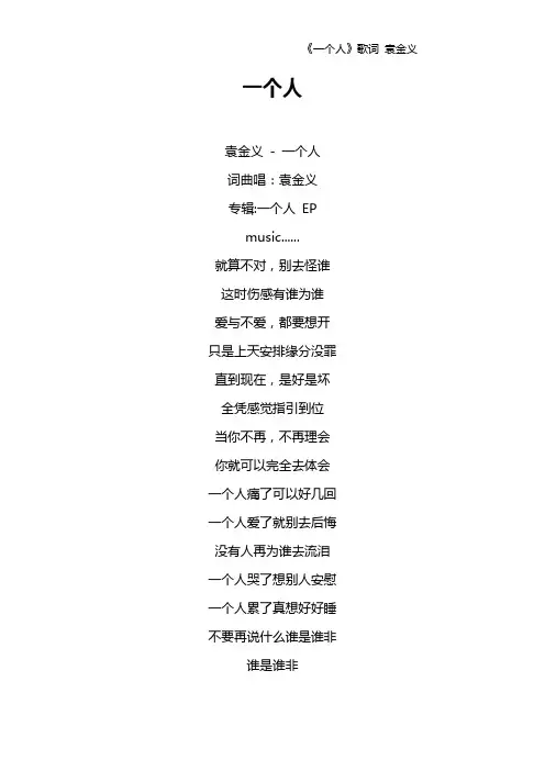 《一个人》歌词 袁金义