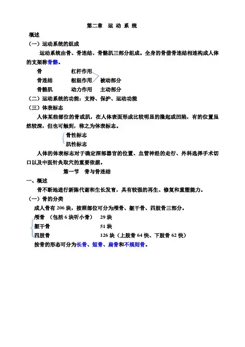 第二章-第一节-骨与骨连结