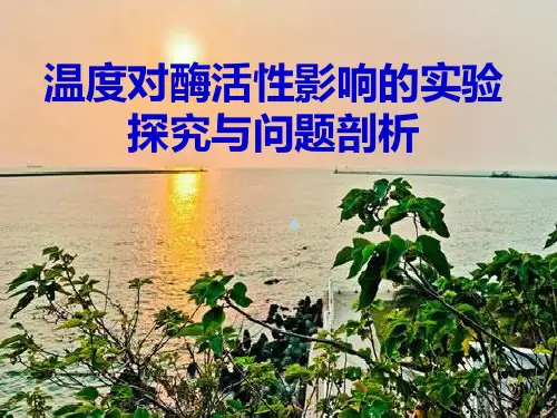 温度对酶活性影响的实验探究与问题剖析