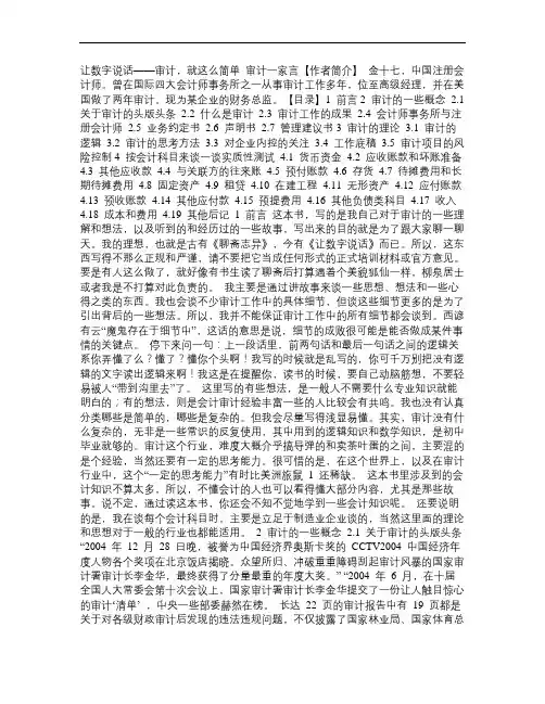 审计一家言(金十七 著)