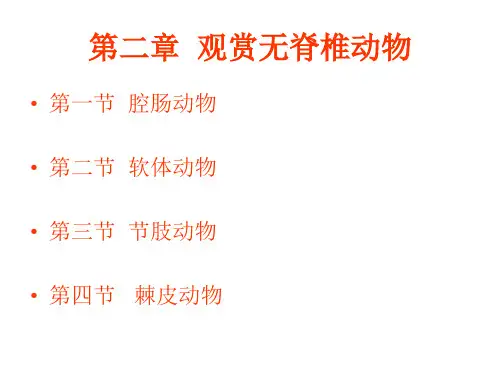 第二章  观赏无脊椎动物