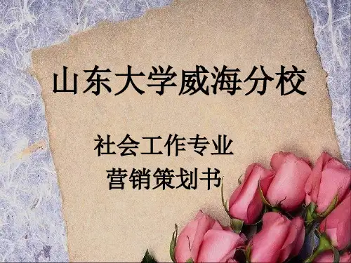 社会工作营销方案 精品