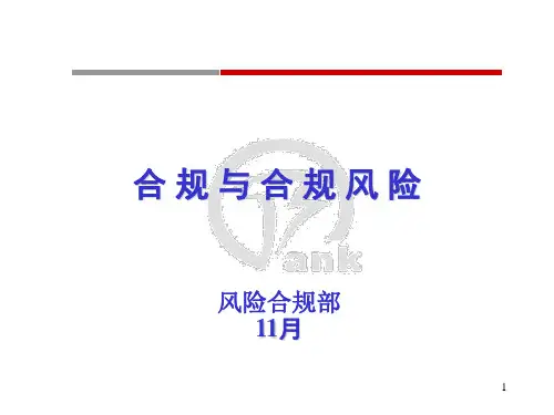 合规风险管理(上传)