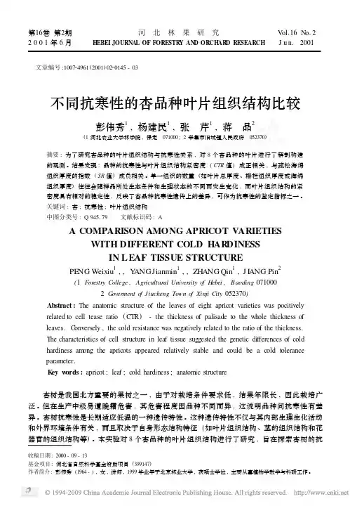 不同抗寒性的杏品种叶片组织结构比较