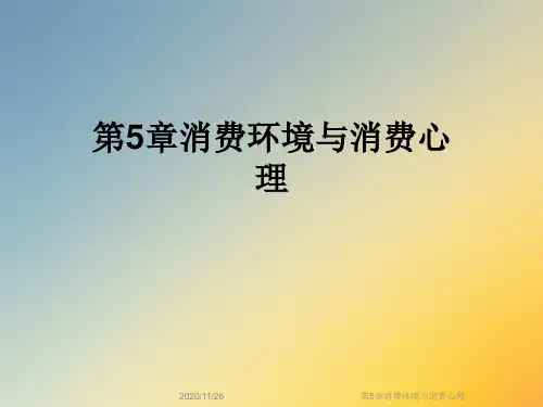 第5章消费环境与消费心理