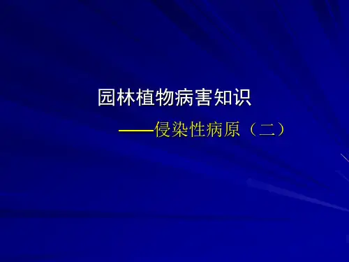 园林植物病虫害防治课件9