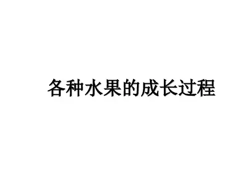 各种水果的成长过程