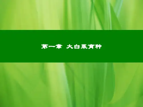 第一章大白菜育种