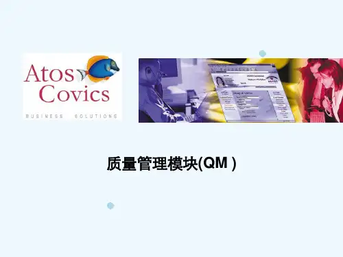 SAPQM质量管理介绍V10