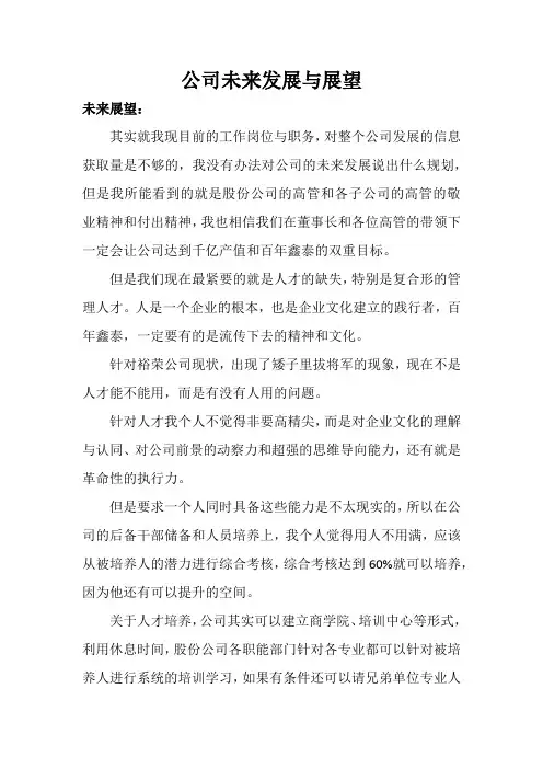 公司未来发展与展望