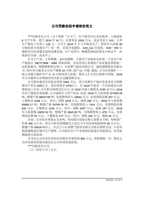 公司贷款担保申请报告范文