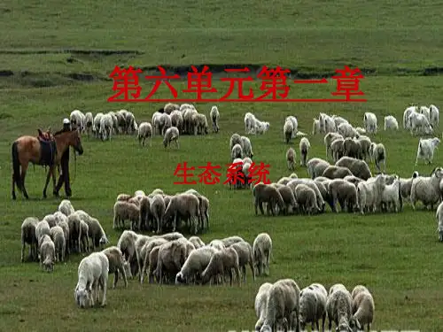 自然界的生态系统
