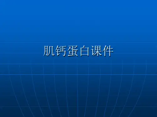 肌钙蛋白PPT课件