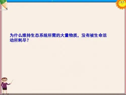 (浙科版)高中生物 6.3 能量流动和物质循环PPT(课时2)课件 新人教版必修3