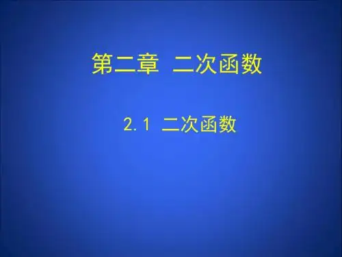 《二次函数》参考课件1