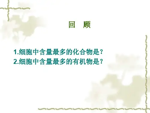 2.2生命活动的主要承担者——蛋白质(优质课)