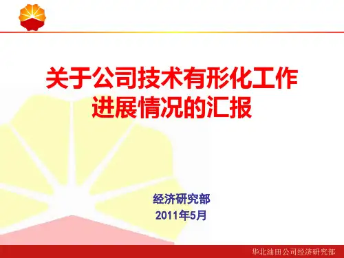 技术有形化简介