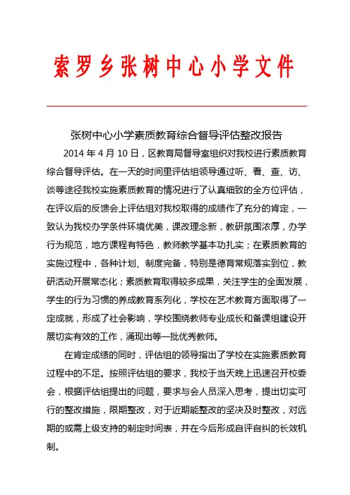 督导评估整改报告 2