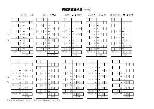 棉花调查株式图