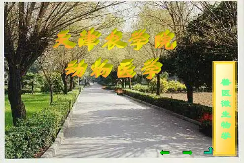 兽医微生物学[010]