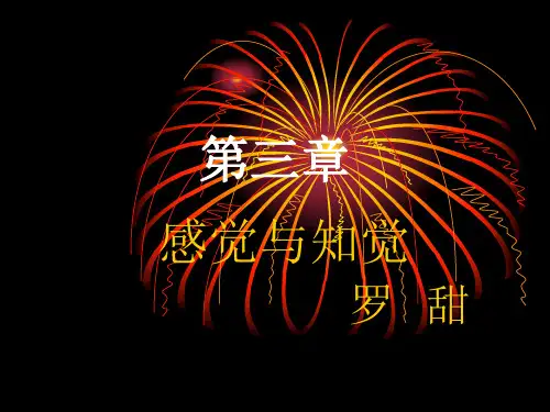 心理学 感觉与知觉