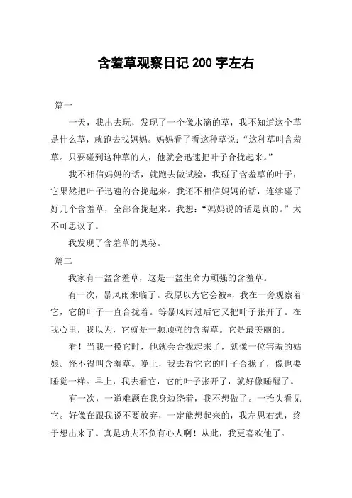 含羞草观察日记200字左右