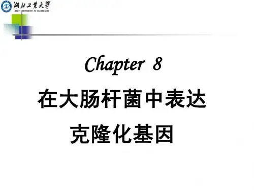 CHAPTER 8 在大肠杆菌中表达克隆化基因