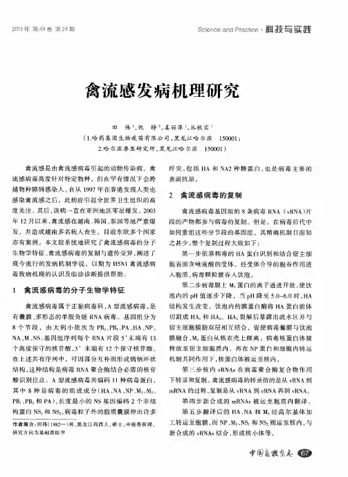禽流感发病机理研究