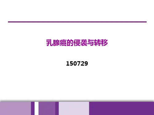 乳腺癌侵袭与转移PPT课件