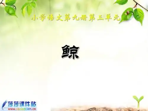 《鲸》(修改)