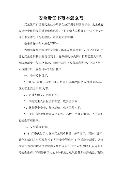  安全责任书范本怎么写