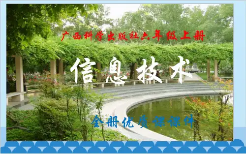 广西科学出版社《信息技术》六年级上册全册优质课件