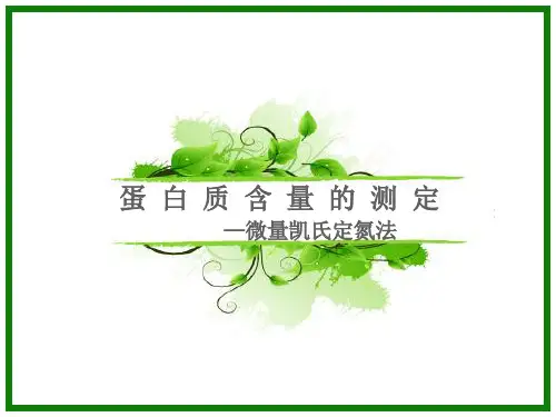 凯氏定氮法