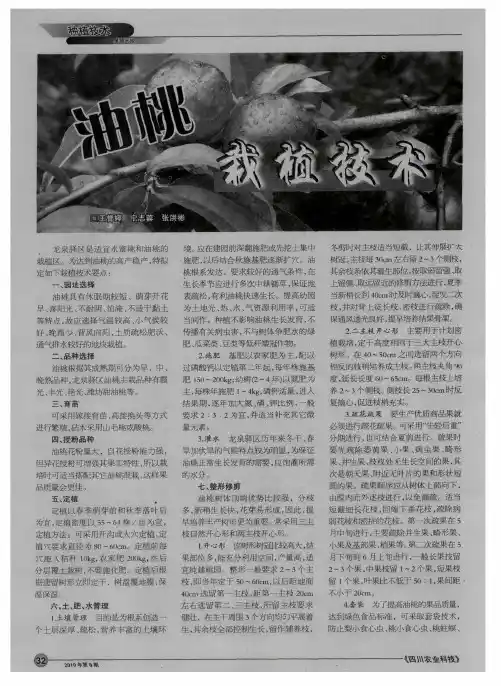 油桃栽植技术