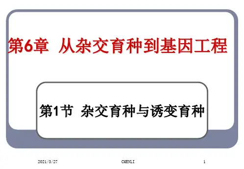 杂交育种与诱变育种(公开课获奖课件)