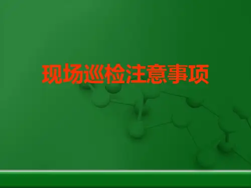 运行巡检