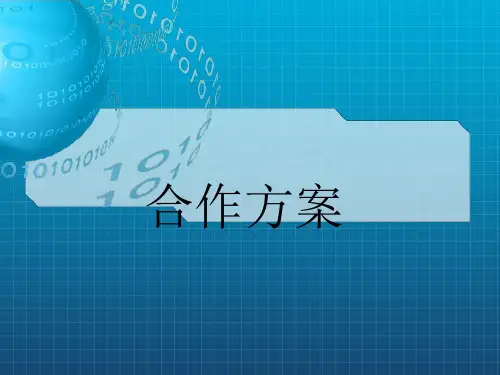 《合作方案》PPT课件