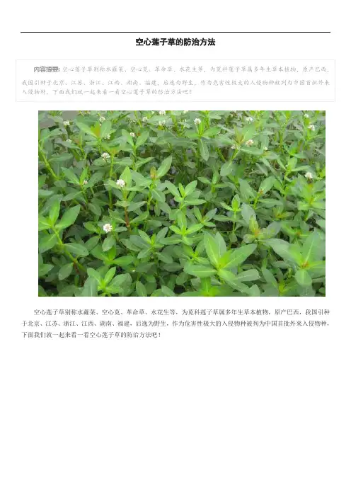 空心莲子草的防治方法