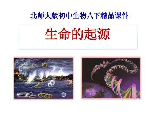 《生命的起源》PPT课件-完美版