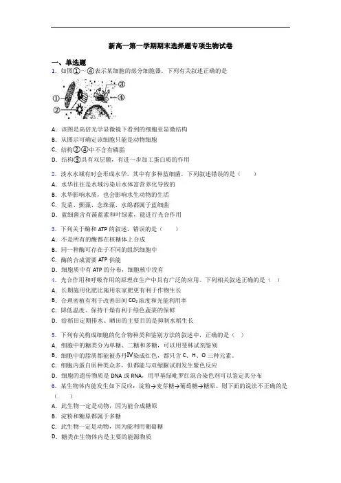 新高一第一学期期末选择题专项生物试卷