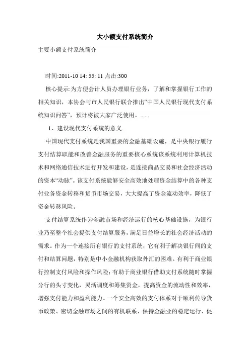 大小额支付系统简介