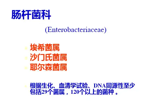 第三章 肠科杆菌