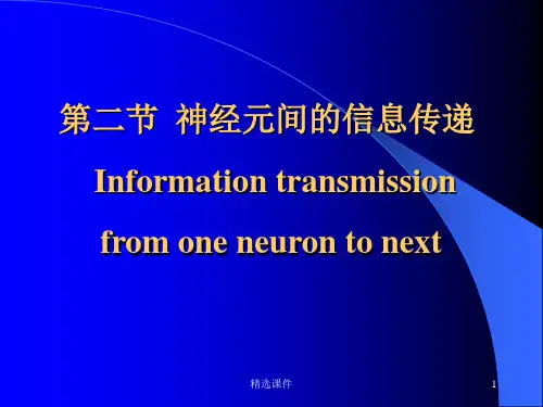 神经元信息传递